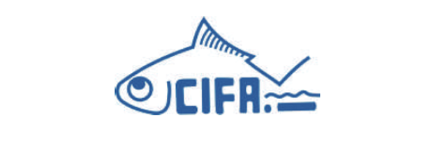 Jobs Openings in CIFA