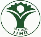 Jobs Openings in IIHR